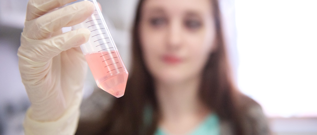lab
